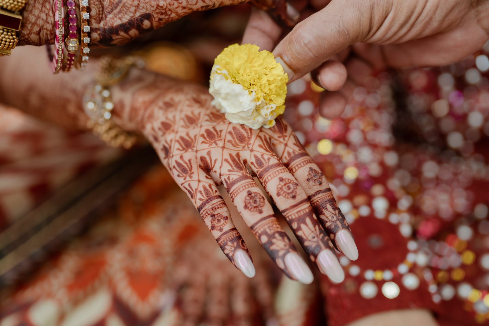 Rohit & Masoom wedding photograph